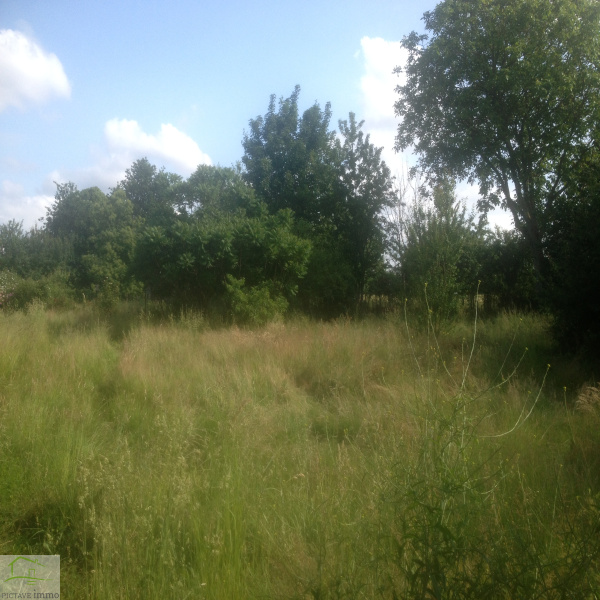 Offres de vente Terrain Cloué 86600