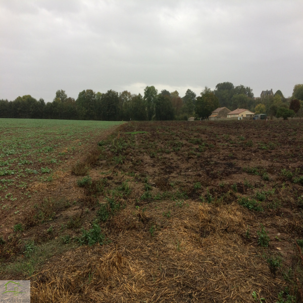 Offres de vente Terrain Sanxay 86600